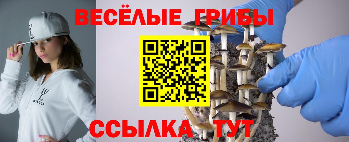 Галлюциногенные грибы мухоморы  Вход с VPN  как найти наркотики  Мичуринск 